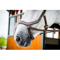 Produktbild von Horseware Micklem 2 Multi Bridle Zaumzeug für Warmblut in Braun - 1 Stk.