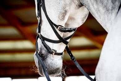Horseware Micklem 2 Multi Trense für Warmblut in Schwarz – Bild 1 von 5