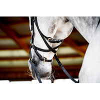 Produktbild von Horseware Micklem 2 Multi Trense für Warmblut in Schwarz