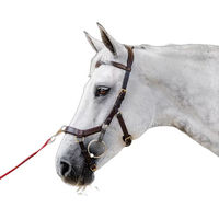Produktbild von Horseware Micklem 2 Multibridle Zügeloses Reitgebiss für Pferde aus Leder in Braun