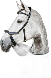 Produktbild von Horseware Micklem 2 Multibridle Zügeloses Reitgebiss für Pferde Schwarz L/XL