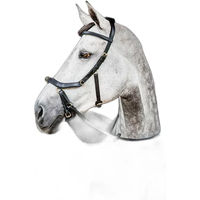 Produktbild von Horseware Micklem 2 Multibridle Zügeloses Reitgebiss für Pferde Schwarz L/XL