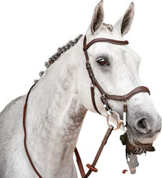Produktbild von Horseware Micklem 2 Zügeloses Reitgebiss für Ponys aus Leder in Braun
