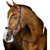 Produktbild von Horseware Micklem Anatomische Reitkandare für Vollblut aus Leder in Braun oder Schwarz