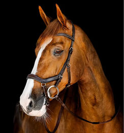 Horseware Micklem Competition Bridle Zaumzeug aus Leder für Pferde in Braun – Bild 1 von 5