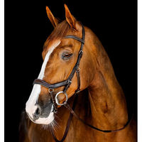 Produktbild von Horseware Micklem Competition Bridle Zaumzeug für Pferde und Ponys aus Leder in Braun FEI konform