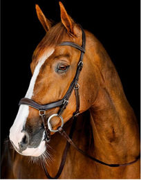 Horseware Micklem Competition Trense aus Leder für Warmblut in Schwarz oder Braun – Bild 1 von 3
