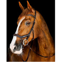 Produktbild von Horseware Micklem Competition Trense aus Leder für Warmblut in Schwarz oder Braun