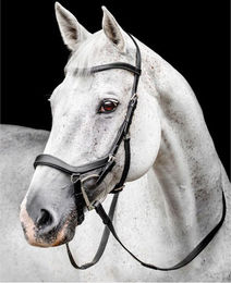 Horseware Micklem Competition Trense aus Leder in Schwarz für Vollblut FEI-konform – Bild 1 von 3