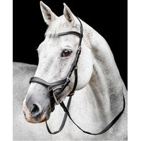 Produktbild von Horseware Micklem Competition Trense aus Leder in Schwarz für Vollblut FEI-konform