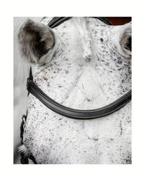 Horseware Micklem Competition Trense aus Leder in Schwarz für Warmblut FEI konform – Bild 1 von 2