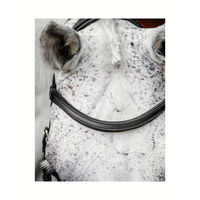 Produktbild von Horseware Micklem Competition Trense aus Leder in Schwarz für Warmblut FEI konform