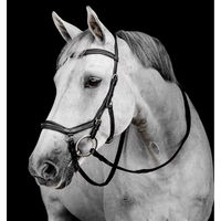 Produktbild von Horseware Micklem Deluxe Competition Zaumzeug für Pferde Schwarz FEI-konform