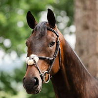 Produktbild von Horseware Micklem Figure 8 Trense mit mexikanischem Reithalfter aus Leder für Vollblut