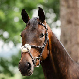 Horseware Micklem Figure 8 Trense mit mexikanischem Reithalfter aus Leder für Warmblut – Bild 1 von 1