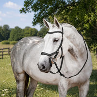 Produktbild von Horseware Micklem II Competition Trense mit Zügel für Warmblut in Grau oder Schwarz