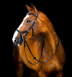Horseware Micklem II Deluxe Competition Trense mit Gummizügeln für Ponys in Schwarz – Bild 1 von 5