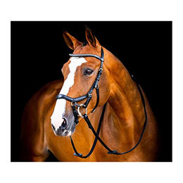 Horseware Micklem II Diamante Competition Zaumzeug für Pferde Schwarz – Bild 1 von 4