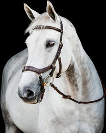 Horseware Micklem II Multi Bridle Leder Trense für Warmblut in Schwarz – Bild 1 von 5