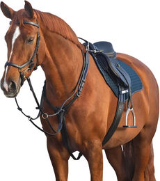 Produktbild von Horseware Micklem Plastron mit Martingal für Ponys in Schwarz