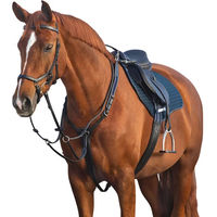Produktbild von Horseware Micklem Plastron mit Martingal für Ponys in Schwarz