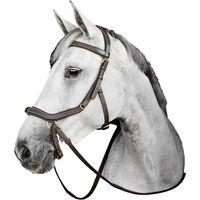 Produktbild von Horseware Micklem Zaumzeug Full Braun Leder