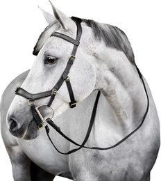 Produktbild von Horseware Micklem Zaumzeug für Vollblut in Schwarz
