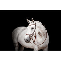 Produktbild von Horseware Micklem2 Competition Trense für Warmblut in Braun