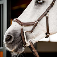 Produktbild von Horseware Micklem2 Deluxe Competition Trense aus Leder für Warmblut in Braun
