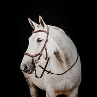 Produktbild von Horseware Micklem2 Deluxe Competition Trense für Ponys in Braun