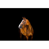Produktbild von Horseware Micklem2 Deluxe Competition Trense für Ponys in Schwarz
