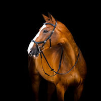 Produktbild von Horseware Micklem2 Deluxe Competition Trense für Warmblut in Schwarz