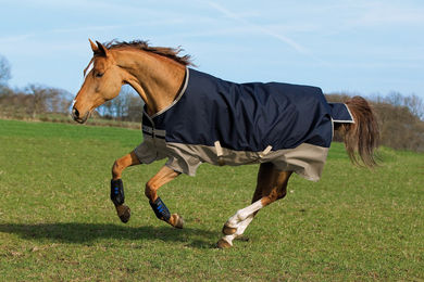 Produktbild von Horseware Mio Turnout Lite 0g Pferdedecke aus Polyester