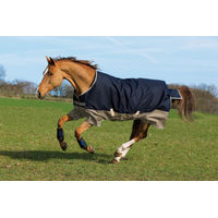 Produktbild von Horseware Mio Turnout Lite 0g Pferdedecke aus Polyester