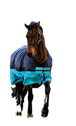 Produktbild von Horseware Mio Turnout Pferdedecke Schwarz Türkis Größe 80