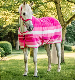 Horseware Newmarket Fleece Cooler Decke für Pferde Rosa 7’0" – Bild 1 von 11