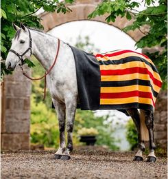 Horseware Newmarket Fleece-Decke für Ponys in Gold oder Bunt – Bild 1 von 11