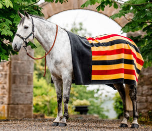 Horseware Newmarket Fleecedecke Witney Gold für Pferde – Bild 1 von 4