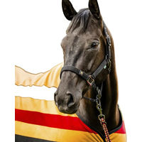 Produktbild von Horseware Newmarket Halfter für Vollblut aus Polyester