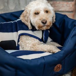 Horseware Newmarket Hundemantel aus Fleece in Blau und Grau Größe XXL – Bild 1 von 5