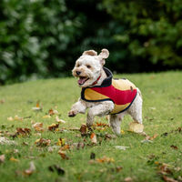 Produktbild von Horseware Newmarket Hundemantel Fleece Blau Bunt Größe XS