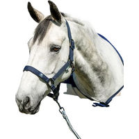 Produktbild von Horseware Newmarket Pferdehalfter aus Polypropylen Blau für Vollblut