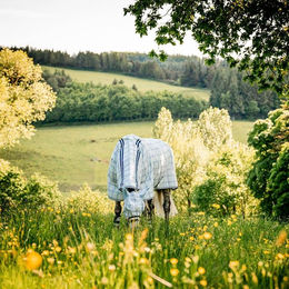 Horseware Newmarket Plus Fliegendecke für Pferde aus Polyester in Grün und Silber – Bild 1 von 5