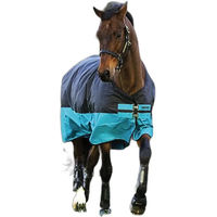 Produktbild von Horseware Outdoor-Pferdedecke Mio 200g Polyester 122 cm Schwarz Blau