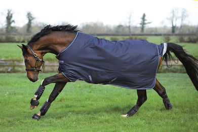 Produktbild von Horseware Pferdedecke aus Polyester in Blau
