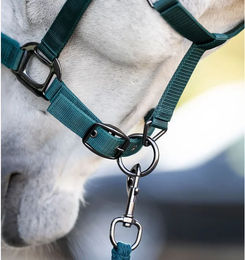 Produktbild von Horseware Pferdehalfter aus Nylon in Grün für Vollblut