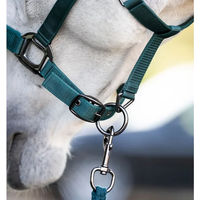Produktbild von Horseware Pferdehalfter aus Nylon in Grün für Vollblut