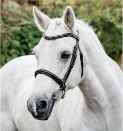 Horseware Pony Cavesson Leder-Trense Schwarz – Bild 1 von 2