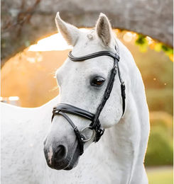 Horseware Pony Flash Bridle Leder Schwarz – Bild 1 von 2