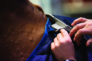 Produktbild von Horseware Pony Liner Decke Blau 200g 4-6 Zoll - 200 g
